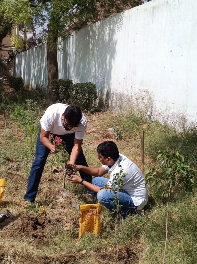 Vena Group employee tree planting initiative in India