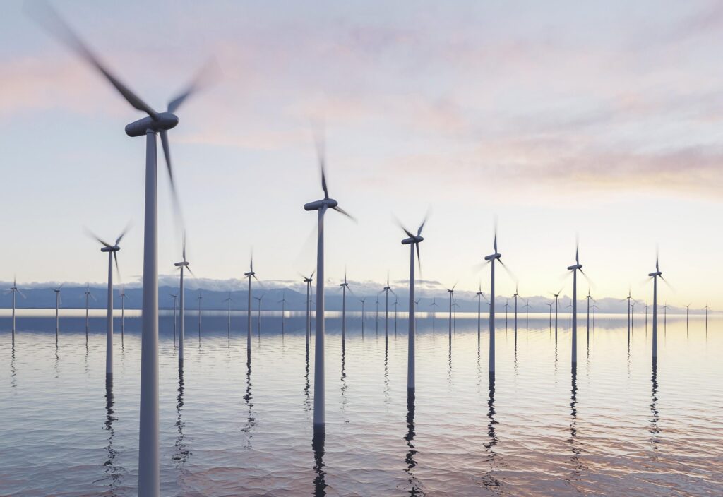 Blue Marlin offshore wind project in Gippsland Basin