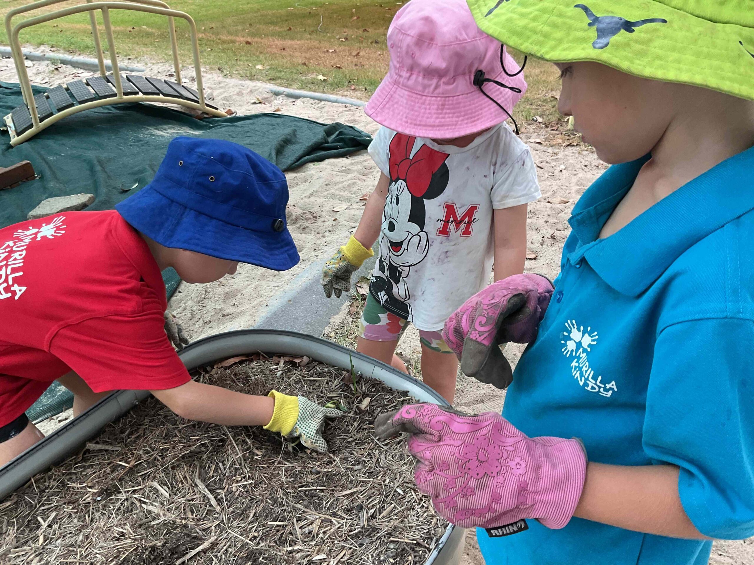 New Early Childhood Care Programme for Families in Rural Queensland